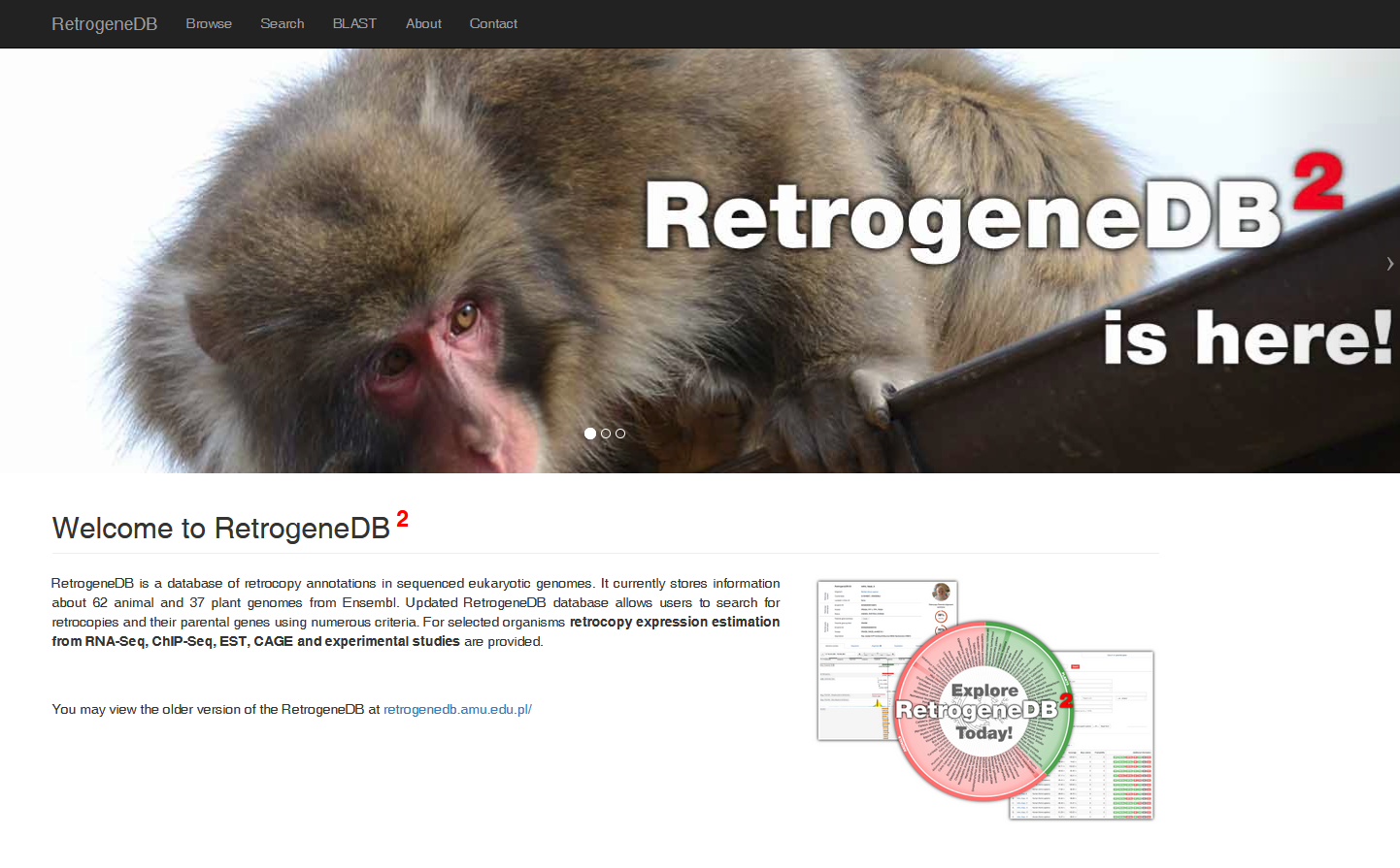 RetrogeneDB 2.0